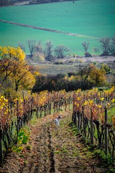 Nikon Nikkor 28-200mm 1: 3.5-5.6G IF - 12