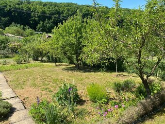 Záhrada s dreveným domčekom - 12