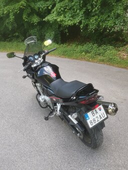 Suzuki Bandit GSF 650s - 12