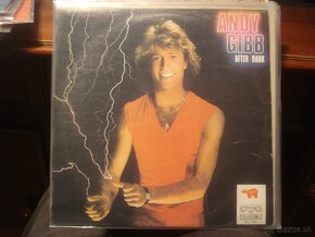 LP EQUALS A.COOPER R.CHARLES H.HERMITS B.GEES BONEY M - 12