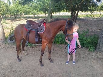Jazdenie na koňoch - 12