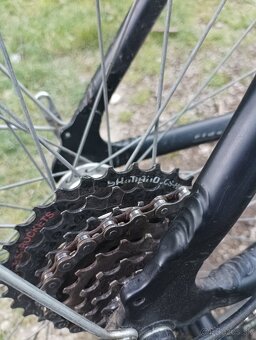 DEMA ASSIS croos bike collection - 12
