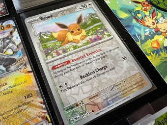 Pokemón MEGA balík A: 65ks kariet v obaloch s 4xEX + darčeky - 12