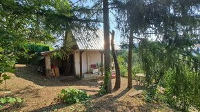 Záhrada s podpivničenou chatkou - 12