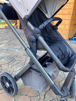 Kočík Beqooni - 12