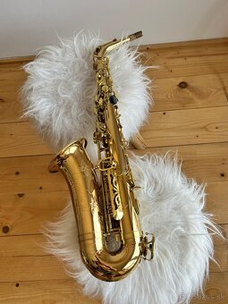 Saxofon Stewart Ellis Elite - 12
