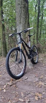 Specialized Stumpjumper FSR Expert - 12