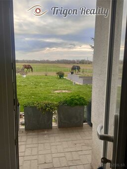 DOM NA SAMOTE PRI KOMÁRNE - 12