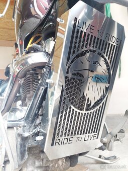 Shadow 1100 c - 12
