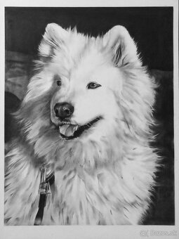 Kreslenie portrétov - 12