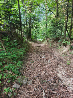 Chata na predaj v obci Šiba - 12