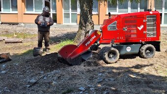 🌳 Arboristické služby od certifikovaných odborníkov 🌳 - 12