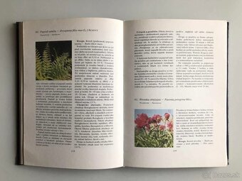 LIEČIVÉ BYLINKY + PRÍRODNÁ LIEČBA - 12