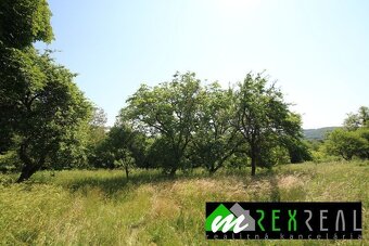 Predaj hospodárskej usadlosti na samote, Čekovce. - 12