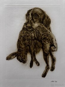 Ales Vaic - lesnicka tematiky - 12