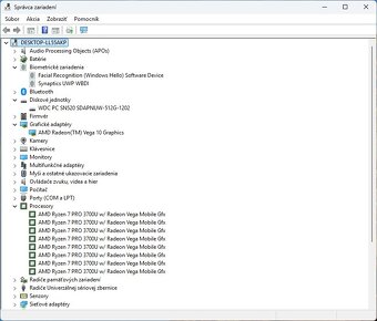 Thinkpad T495 /Ryzen 7 Pro 3700U/16GB RAM/FHD IPS/512GB SSD - 12