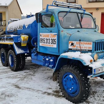 V3S fekál - 12