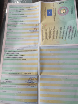 Dodge Caliber 2,0 85 kw - 12