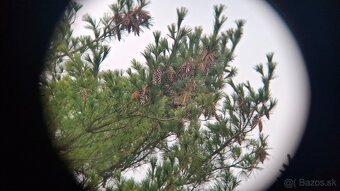 Ďalekohľad BPC 10X50 TENTO - 12