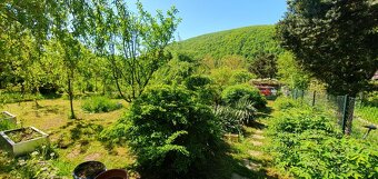 Na predaj záhrada s chatkou Ťahanovce, pozemok 590 m2 - 12