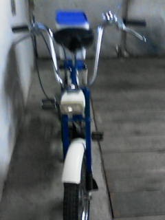 BABETTA 207 -300 - 12