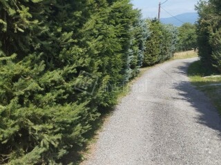 Predaj chalupy/ rod.domu v Detve, Piešť - 12