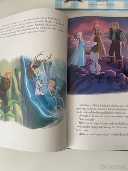 Walt Disney Divočina, Ratatouille, - 12