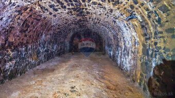 Na predaj historická nehnuteľnosť s veľkým potenciálom – Hod - 12