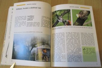 ez, tvarování a roubování ovocných stromu - 12