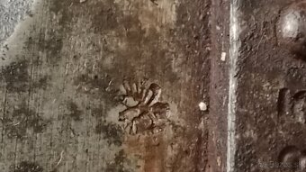 Predám dýky solingen - 12