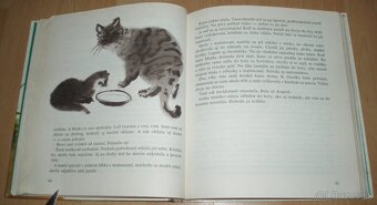 Z poľovníckej kapsy - 12