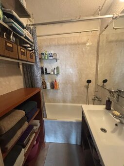 4-izb. byt v Ovsišti, 5.p./8, lodžia - 12