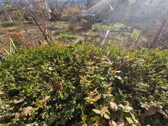 Rekreačná chata Dubina III - 12