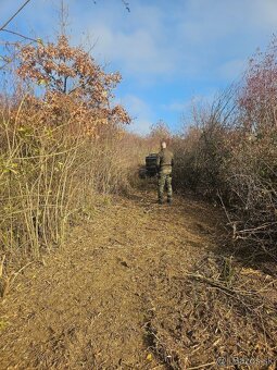 Čistenie pozemkov od naletovych drevín lesná fréza - 12
