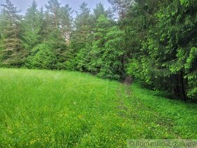 Rekreačný pozemok uprostred lesa pri Považskej Bystrici - 12