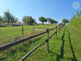 HALO reality - Predaj, rodinný dom Borová, 9.125m2 - EXKLUZÍ - 12