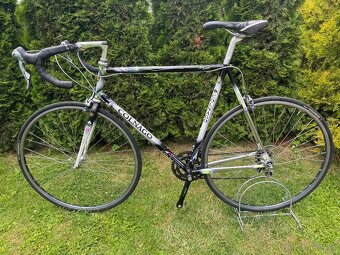 Colnago Tecnos Art Decor - 12