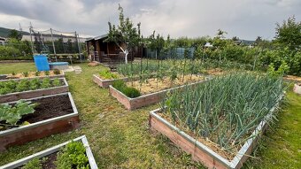 Záhrada s chatkou a studňou – Žabí majer - 12