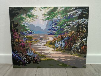 Ručne maľované obrazy 50x40 cm - 12