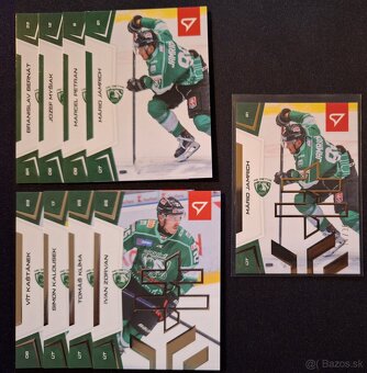 SHL 2024/25 - 12