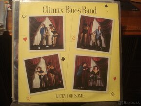 LP BOWIE COCKER B.HOLLY FOREIGNER ELO BYRDS E.JOHN MADONNA - 12