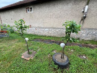 Rodinný dom, Komjati, Maďarsko - 12