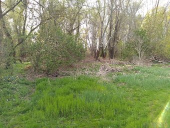 Stavebný pozemok so záhradou a lesom, 2716m2 - 12