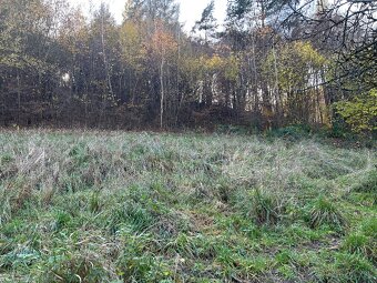 Predám pozemok 7802m2 - 12