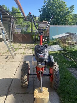 terra vari HONDA GSV190 - 12
