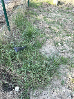 Slnečný stavebný pozemok na úpätí Malých Karpát, Marianka - 12