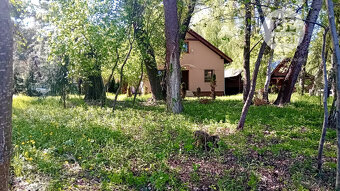 Na predaj chata na Záhorí na brehu jazera - 12