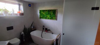 Ponúkame stavebné/elektroinštalačné a výkopové práce - 12
