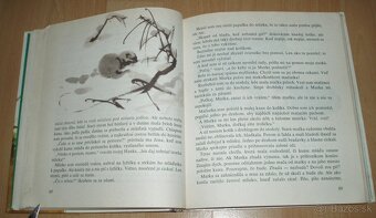 Z poľovníckej kapsy - 12