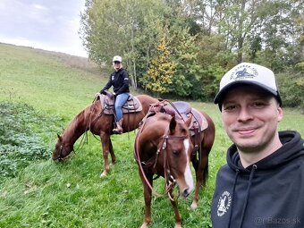 Quarter horse,QH valach.akciová cena. - 12
